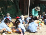 img0017.jpg