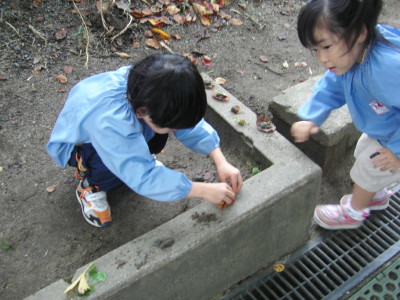 img0005.jpg