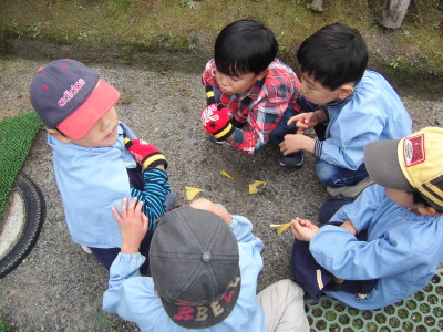 img0007.jpg