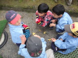img0007.jpg