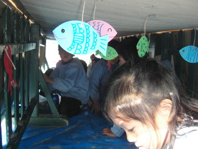 img0061.jpg