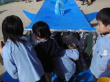 img0017.jpg