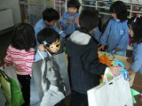 img0043.jpg