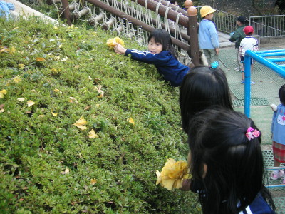 img0022.jpg