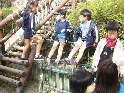 img0042.jpg