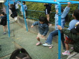 img0021.jpg