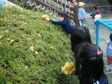img0022.jpg