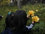 img0023.jpg