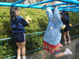 img0024.jpg