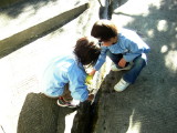 img0002.jpg