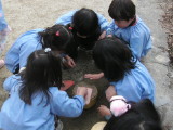 img0018.jpg