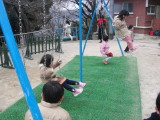 img0009.jpg