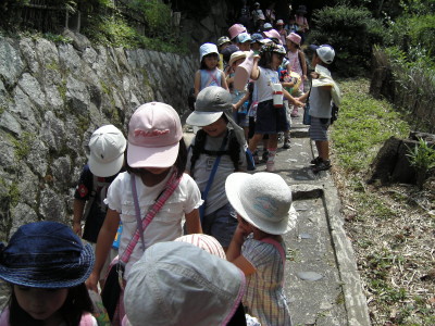 img0017.jpg