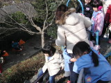 img0002.jpg