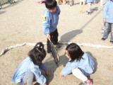 img0017.jpg