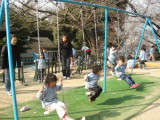 img0025.jpg