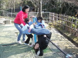 img0010.jpg