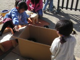 img0007.jpg