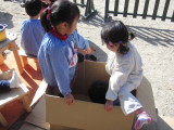 img0008.jpg