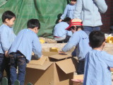 img0012.jpg