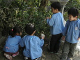 img0023.jpg