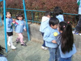 img0009.jpg
