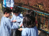 img0011.jpg