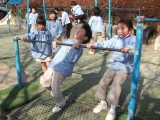 img0019.jpg