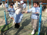 img0021.jpg