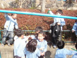 img0027.jpg