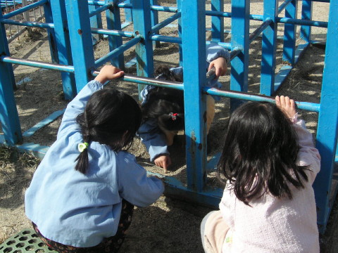 img0012.jpg