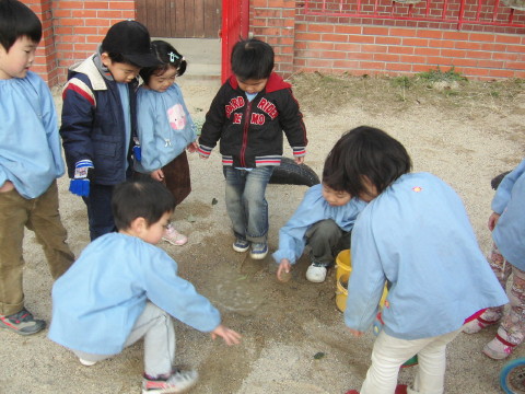img0019.jpg