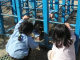 img0012.jpg