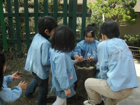 img0025.jpg