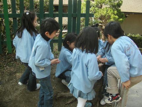 img0026.jpg