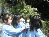 img0019.jpg