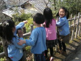 img0020.jpg