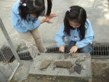 img0024.jpg