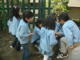 img0026.jpg