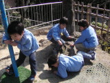 img0027.jpg