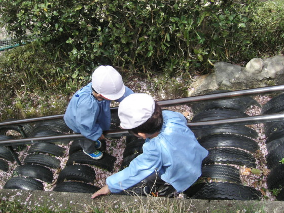 img0015.jpg