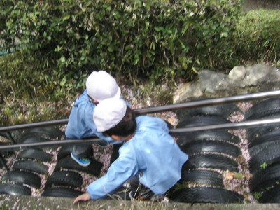 img0031.jpg