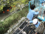 img0014.jpg