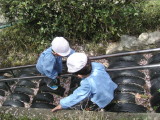 img0015.jpg