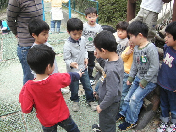 img0031.jpg