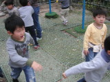img0033.jpg