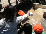 img0008.jpg