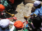 img0009.jpg