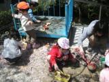img0010.jpg