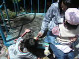 img0017.jpg